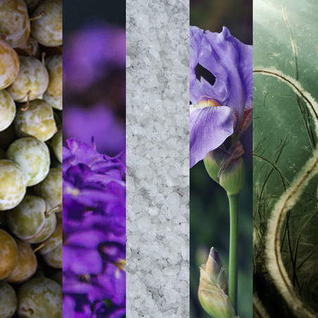 Greengage, Héliotropem, Sel, Iris, Algue